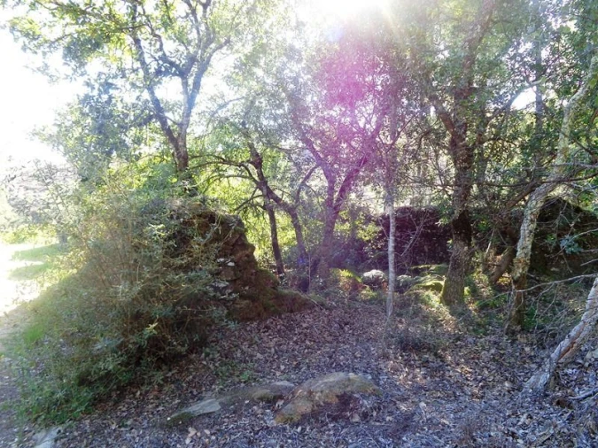 Terreno para Venda em Olalhas Foto 6