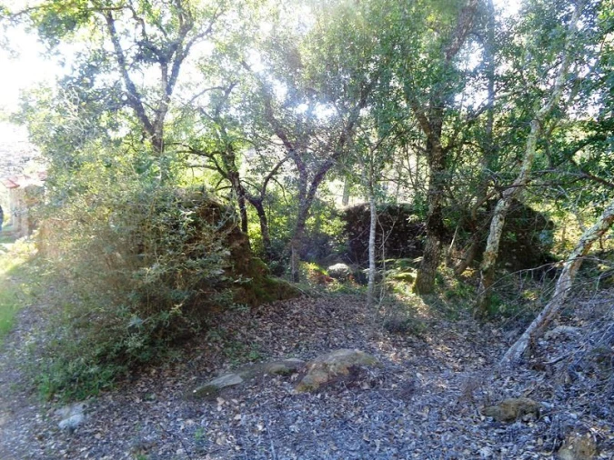 Terreno para Venda em Olalhas Foto 7