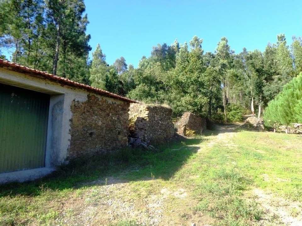Terreno para Venda em Olalhas Foto 1