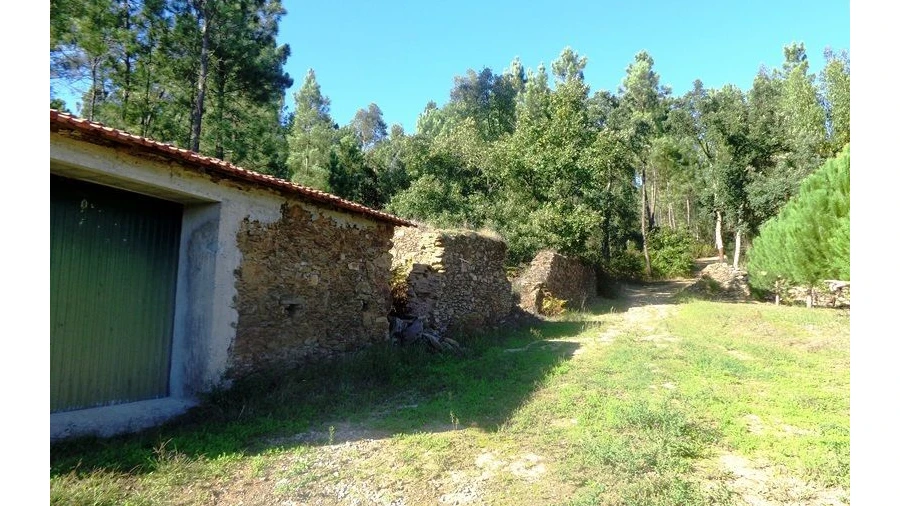 Terreno para Venda em Olalhas