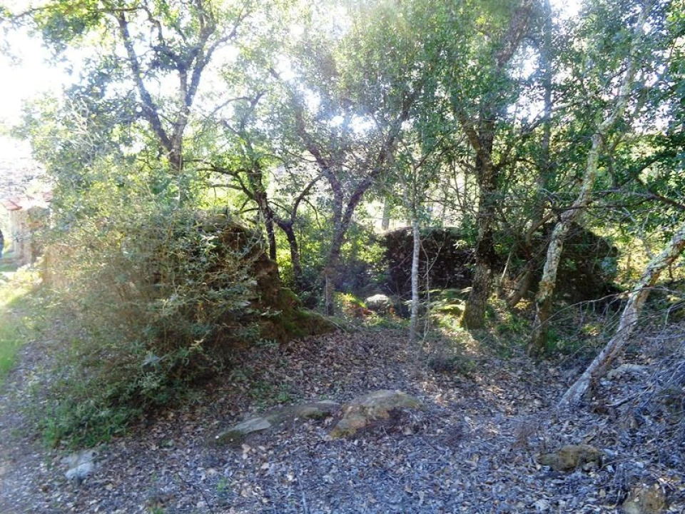 Terreno para Venda em Olalhas Foto 7