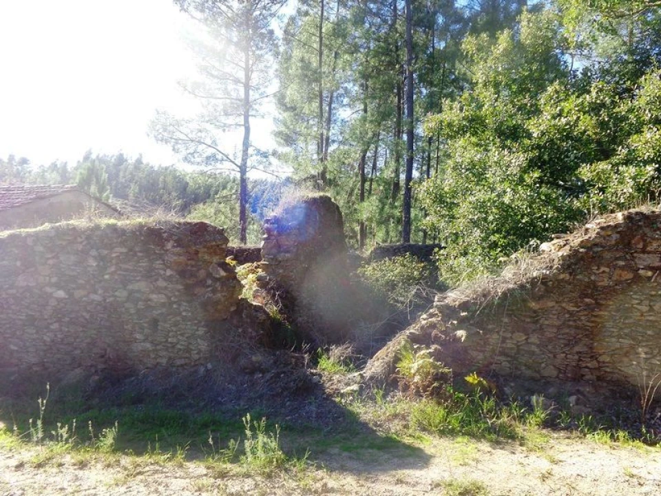 Terreno para Venda em Olalhas Foto 4