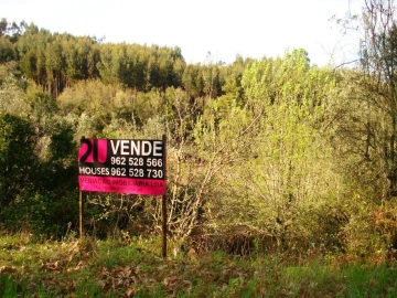 Terreno para Venda em Olalhas