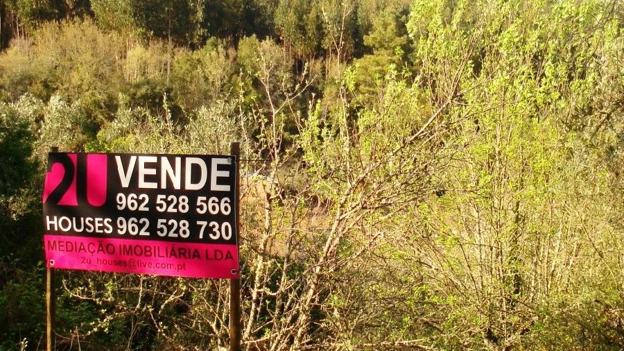 Terreno para Venda em Olalhas