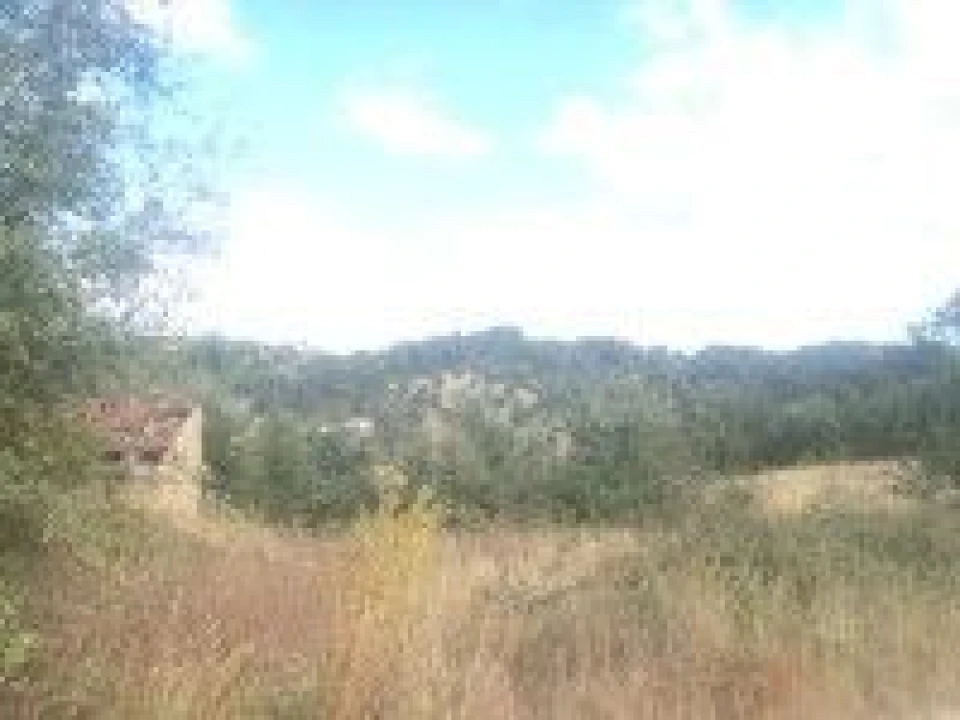 Terreno para Venda em Madalena e Beselga Foto 4