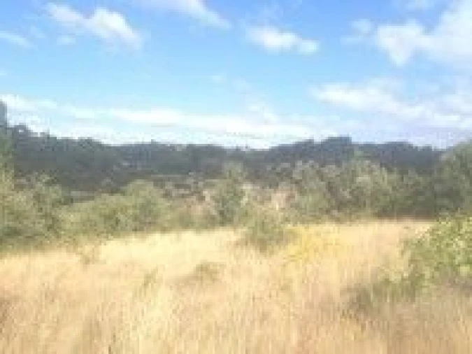 Terreno para Venda em Madalena e Beselga Foto 3