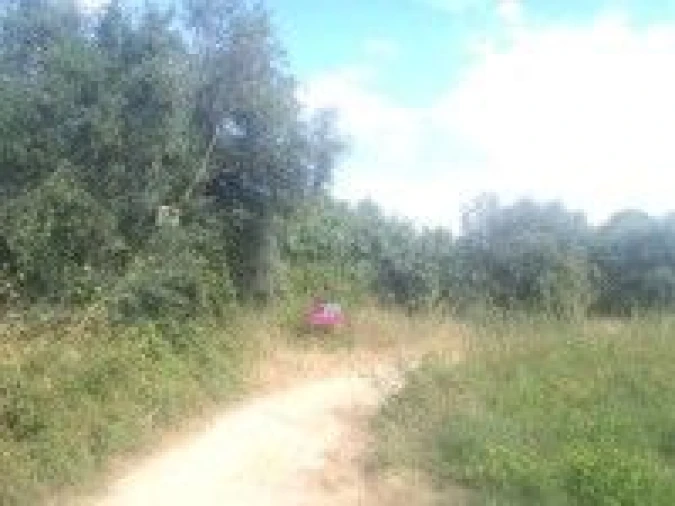 Terreno para Venda em Madalena e Beselga Foto 2