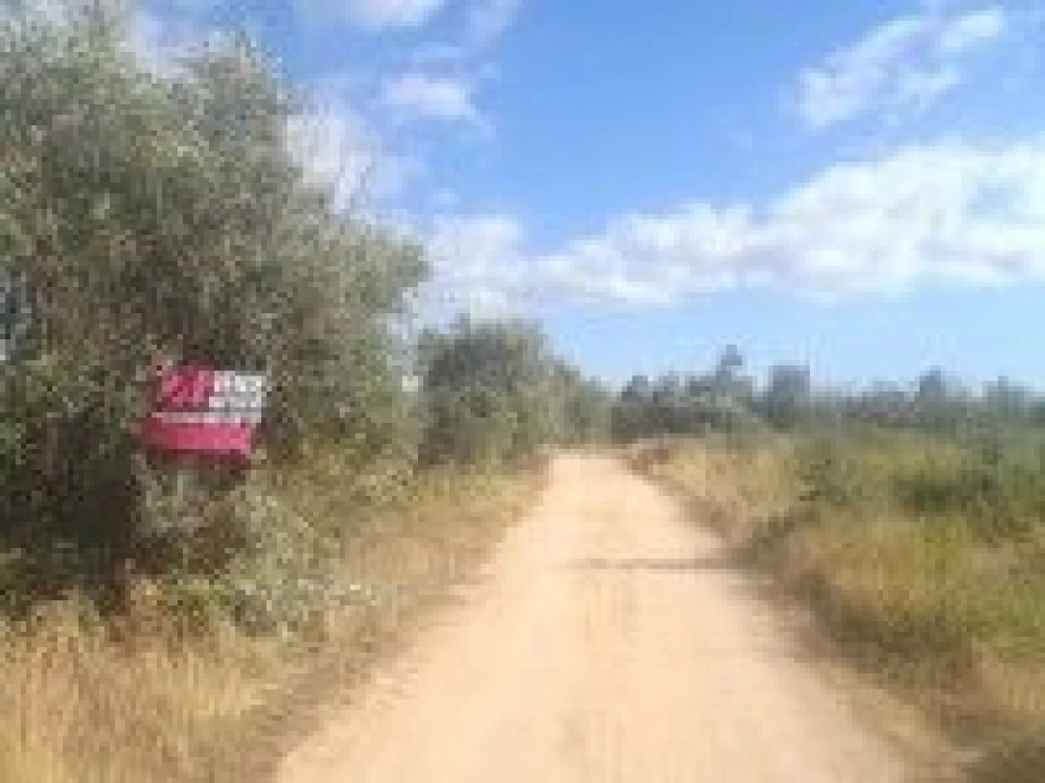 Terreno para Venda em Madalena e Beselga Foto 1