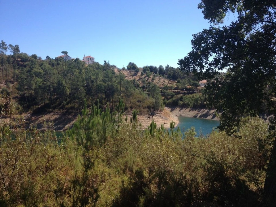 Terreno para Venda em Serra e Junceira Foto 2