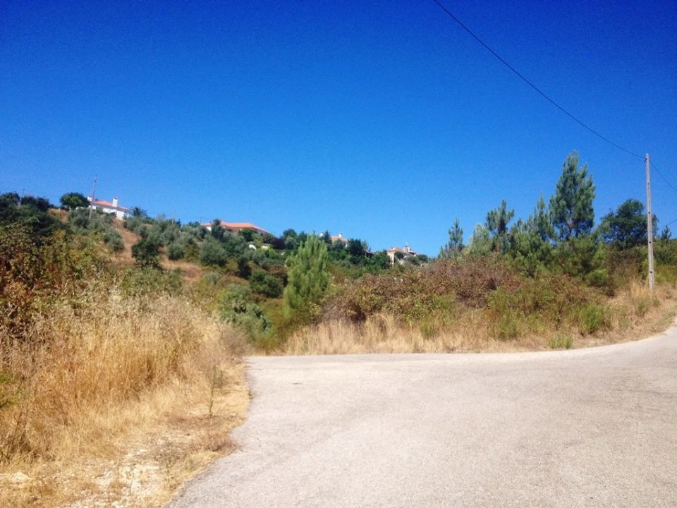 Terreno para Venda em Serra e Junceira Foto 5