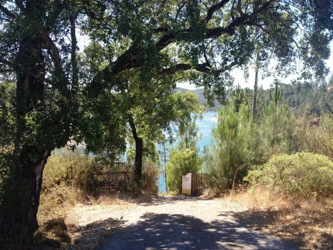 Terreno para Venda em Serra e Junceira Foto 3