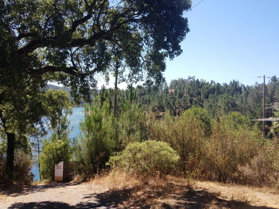 Terreno para Venda em Serra e Junceira Foto 4