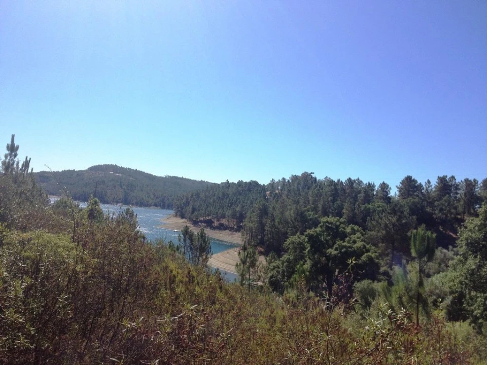 Terreno para Venda em Serra e Junceira Foto 1