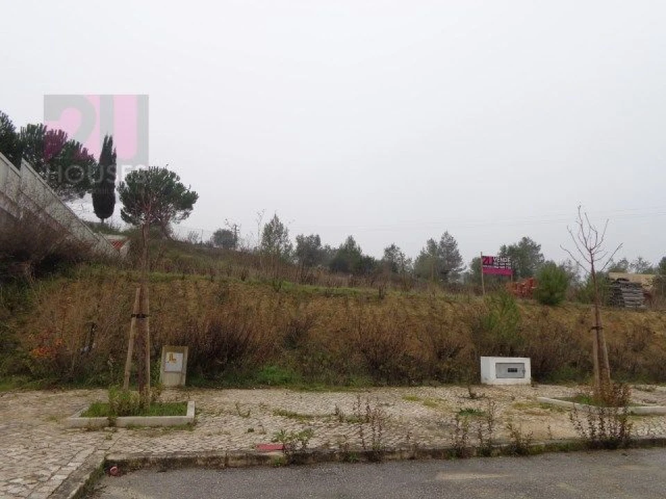 Terreno para Venda em São João Baptista e Santa Maria dos Olivais Foto 1