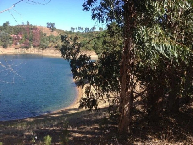 Terreno para Venda em Serra e Junceira Foto 1