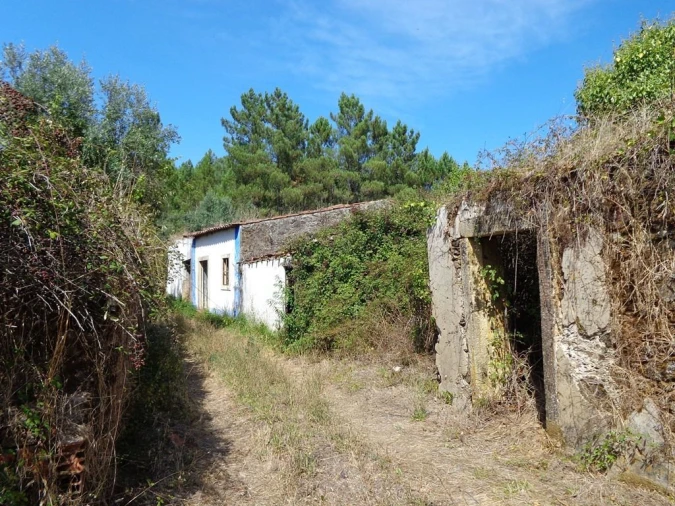 Terreno para Venda em Casais e Alviobeira