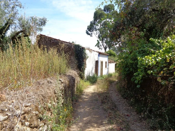 Terreno para Venda em Casais e Alviobeira Foto 2