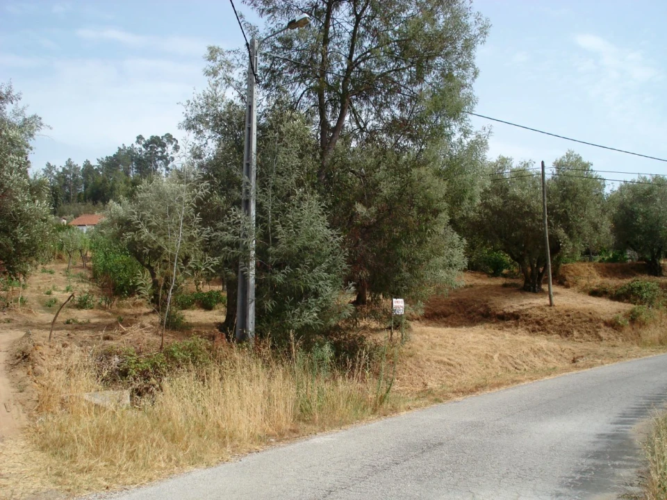 Terreno para Venda em São João Baptista e Santa Maria dos Olivais Foto 1