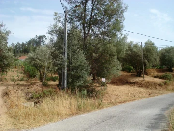 Terreno para Venda em São João Baptista e Santa Maria dos Olivais