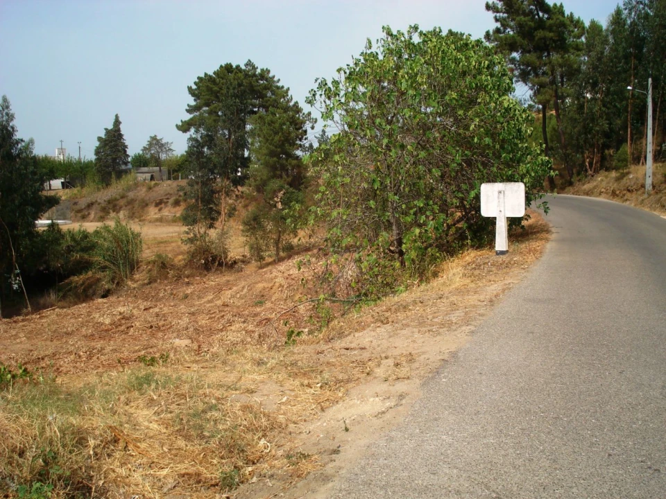 Terreno para Venda em Asseiceira Foto 1