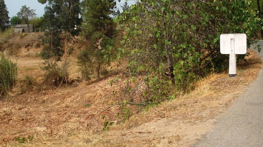 Terreno para Venda em Asseiceira