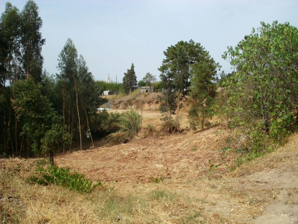 Terreno para Venda em Asseiceira Foto 2