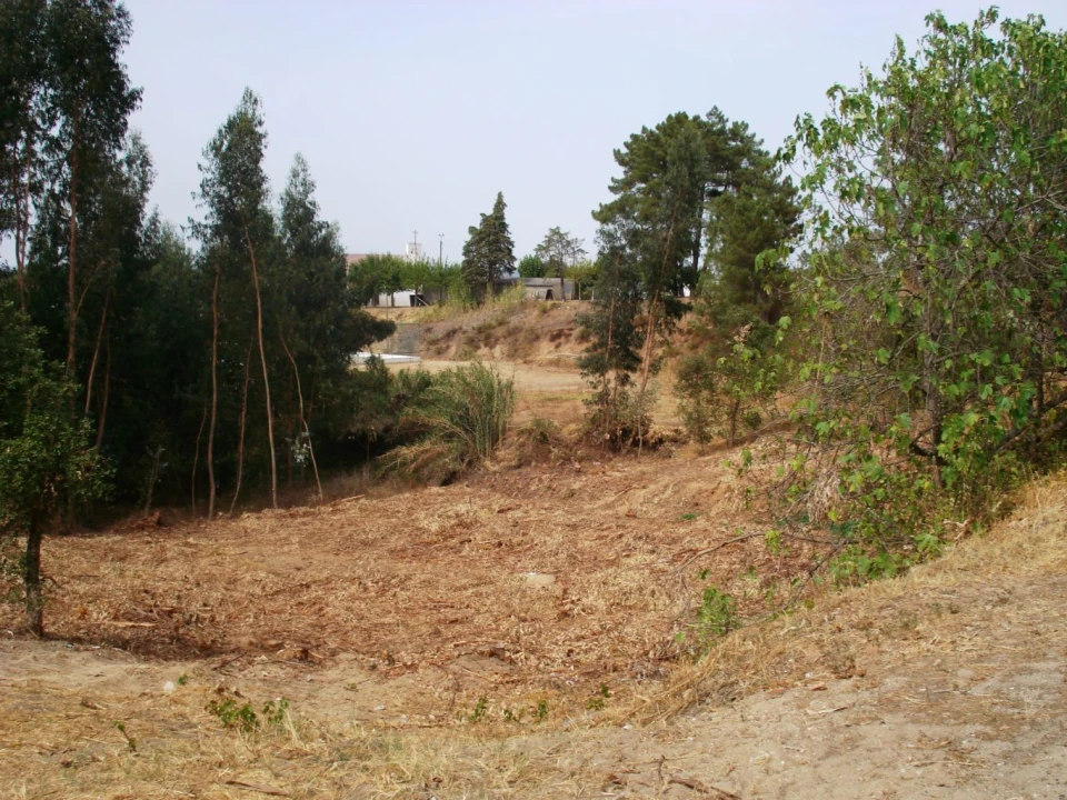Terreno para Venda em Asseiceira Foto 3