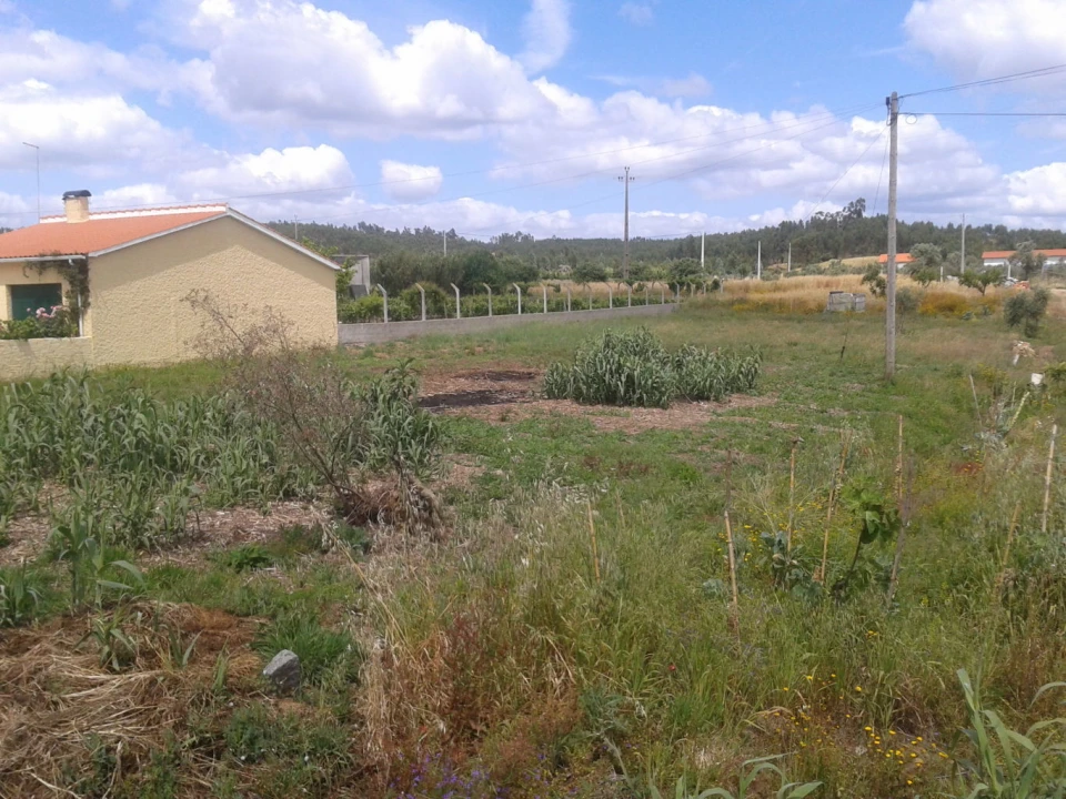 Terreno para Venda em Asseiceira Foto 1
