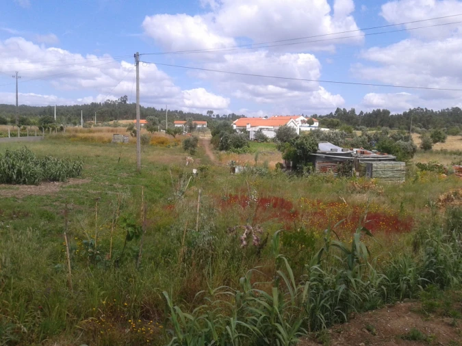 Terreno para Venda em Asseiceira Foto 2