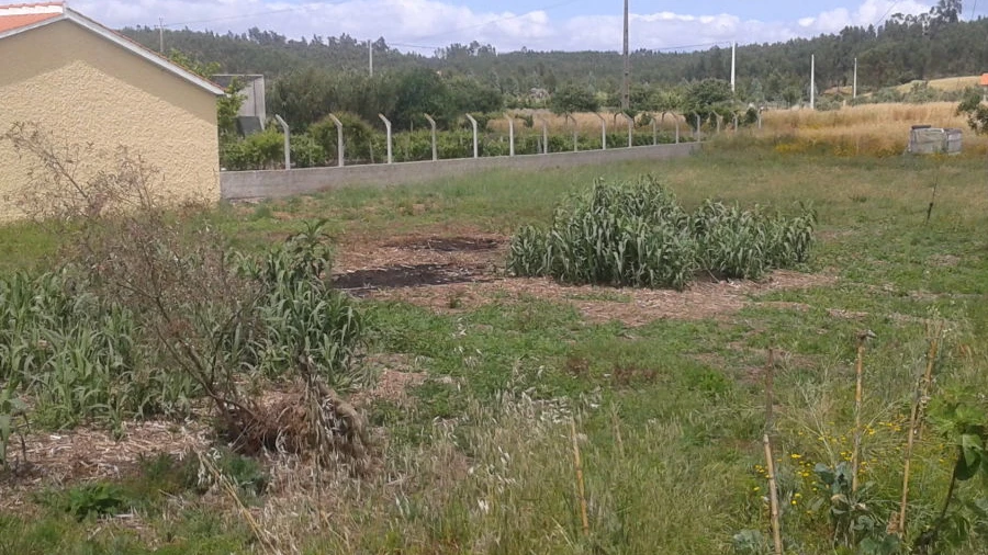 Terreno para Venda em Asseiceira