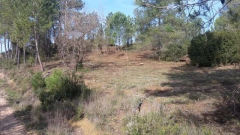 Terreno para Venda em São João Baptista e Santa Maria dos Olivais