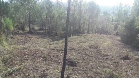 Terreno para Venda em São João Baptista e Santa Maria dos Olivais