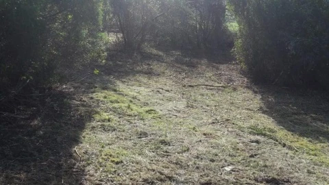 Terreno para Venda em São João Baptista e Santa Maria dos Olivais