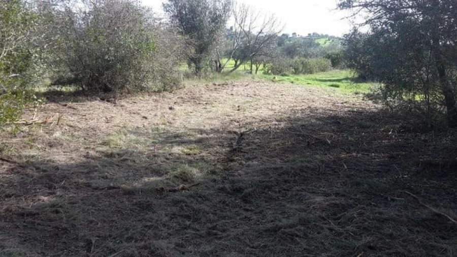 Terreno para Venda em São João Baptista e Santa Maria dos Olivais Foto 3