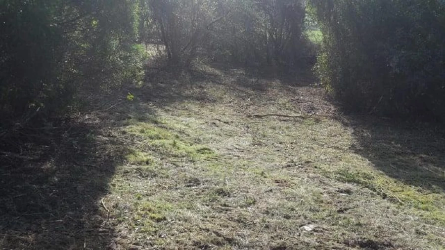 Terreno para Venda em São João Baptista e Santa Maria dos Olivais Foto 5
