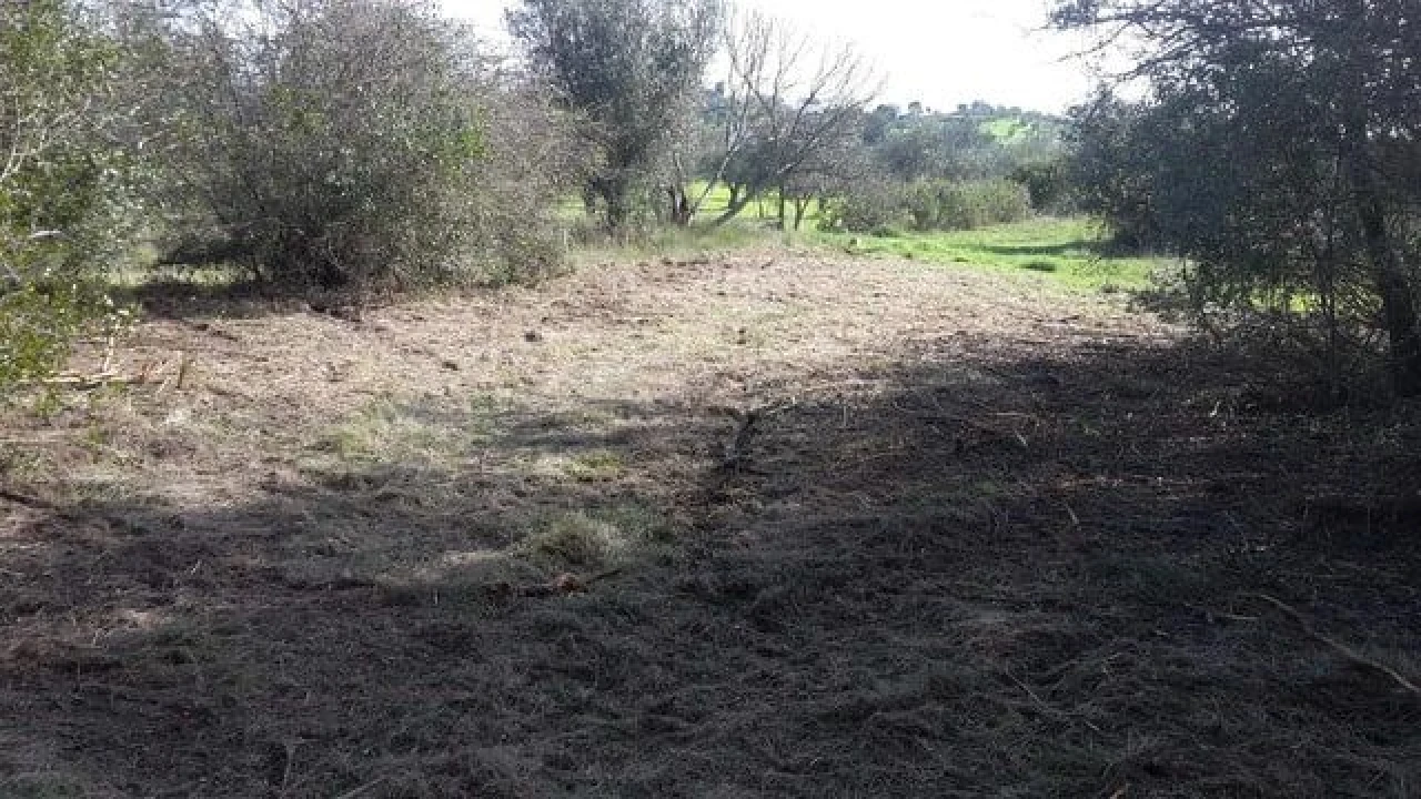 Terreno para Venda em São João Baptista e Santa Maria dos Olivais Foto 3