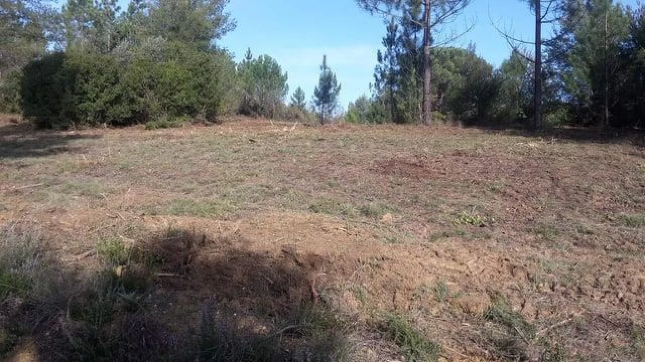 Terreno para Venda em São João Baptista e Santa Maria dos Olivais Foto 1