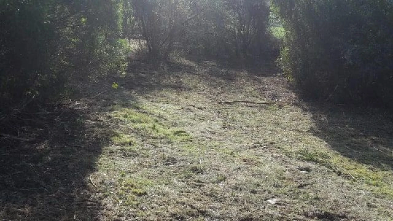 Terreno para Venda em São João Baptista e Santa Maria dos Olivais Foto 5