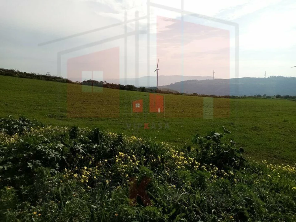 Terreno para Venda em Lousa Foto 4