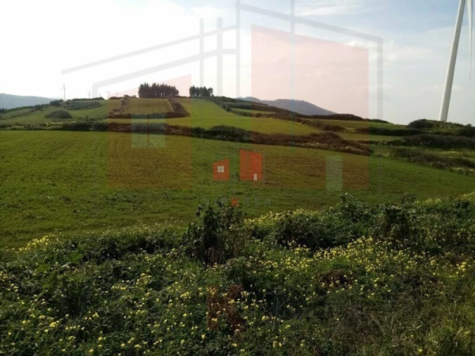 Terreno para Venda em Lousa Foto 8