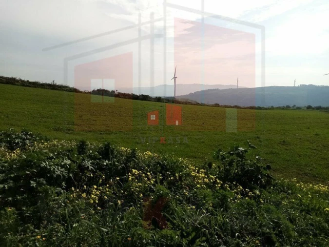 Terreno para Venda em Lousa Foto 4