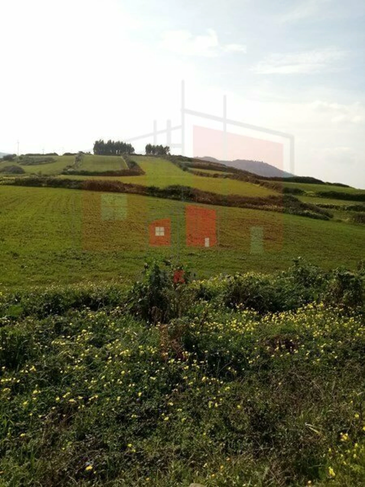 Terreno para Venda em Lousa Foto 6