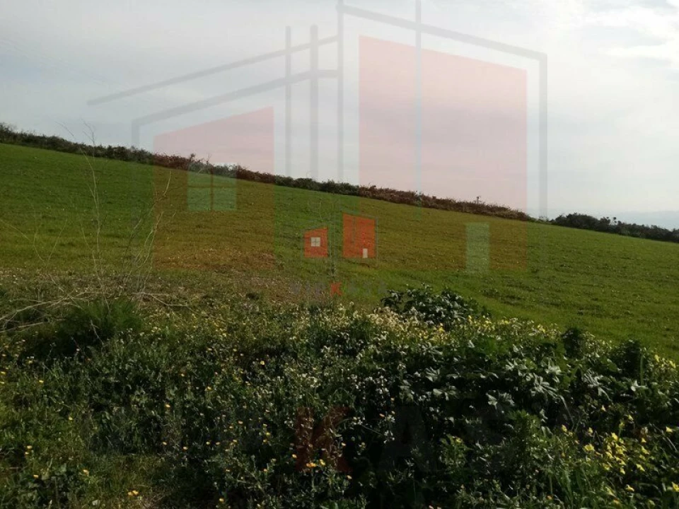 Terreno para Venda em Lousa Foto 9