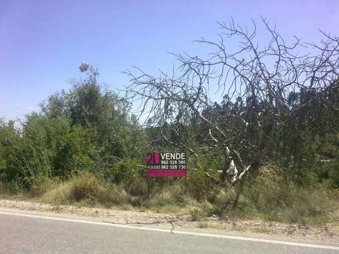 Terreno para Venda em Carregueiros Foto 2