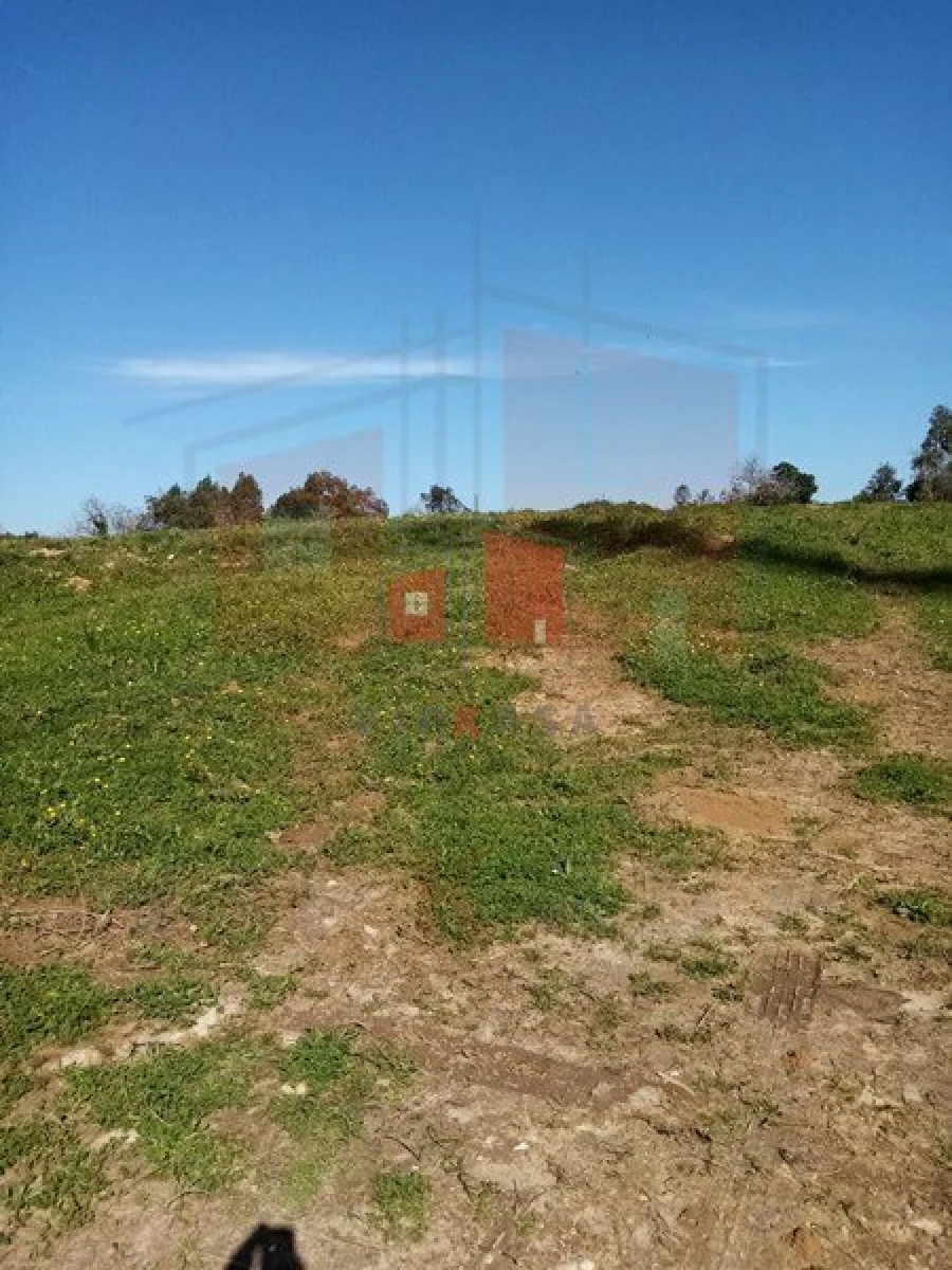 Terreno para Venda em Lousa Foto 2