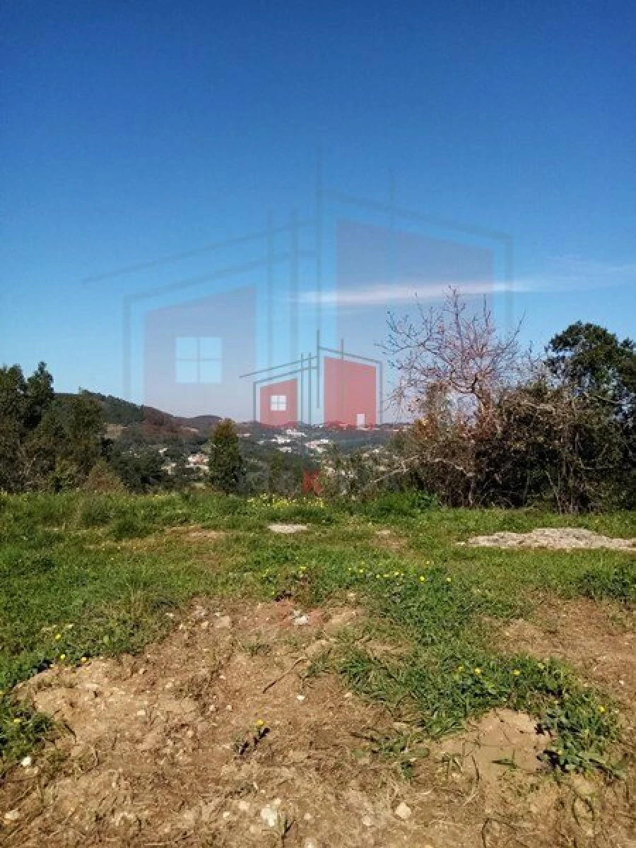 Terreno para Venda em Lousa Foto 6