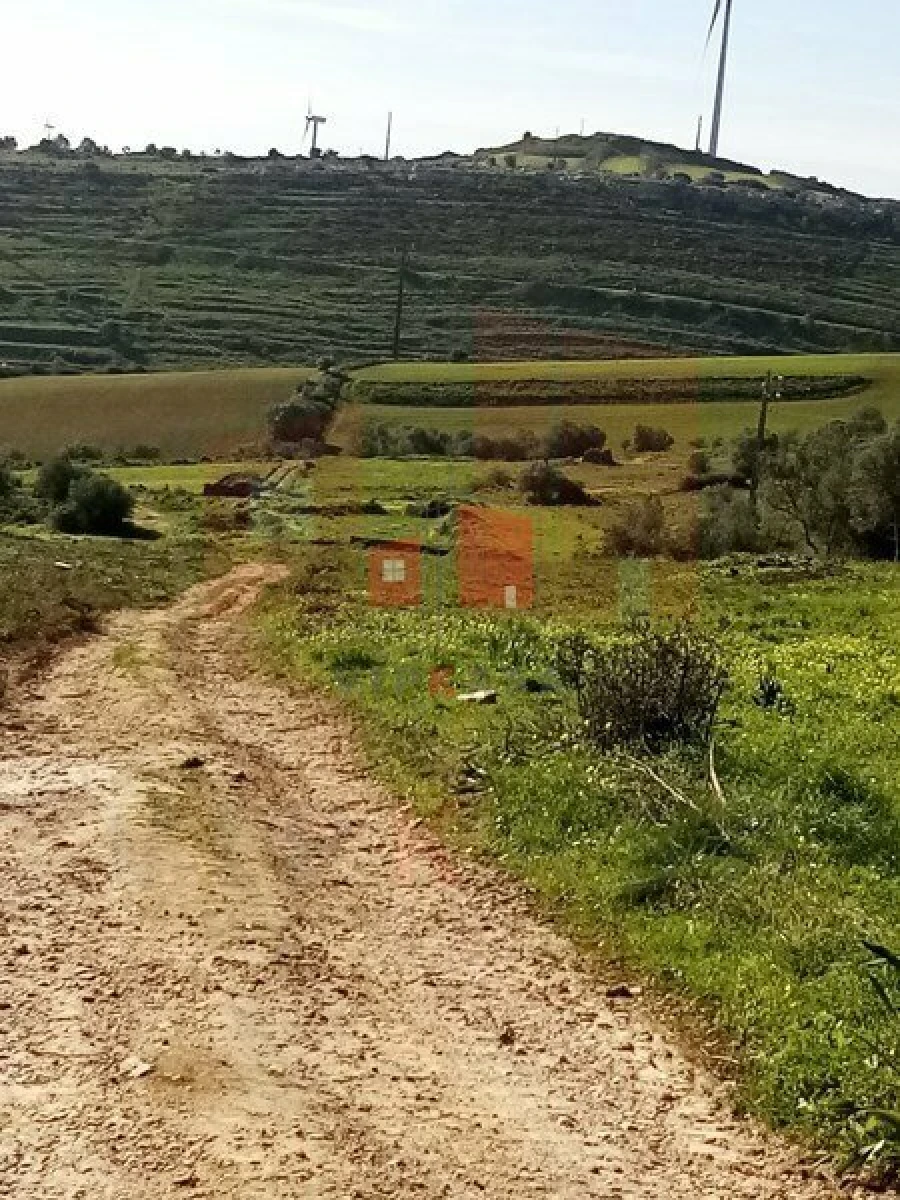 Terreno para Venda em Lousa Foto 7