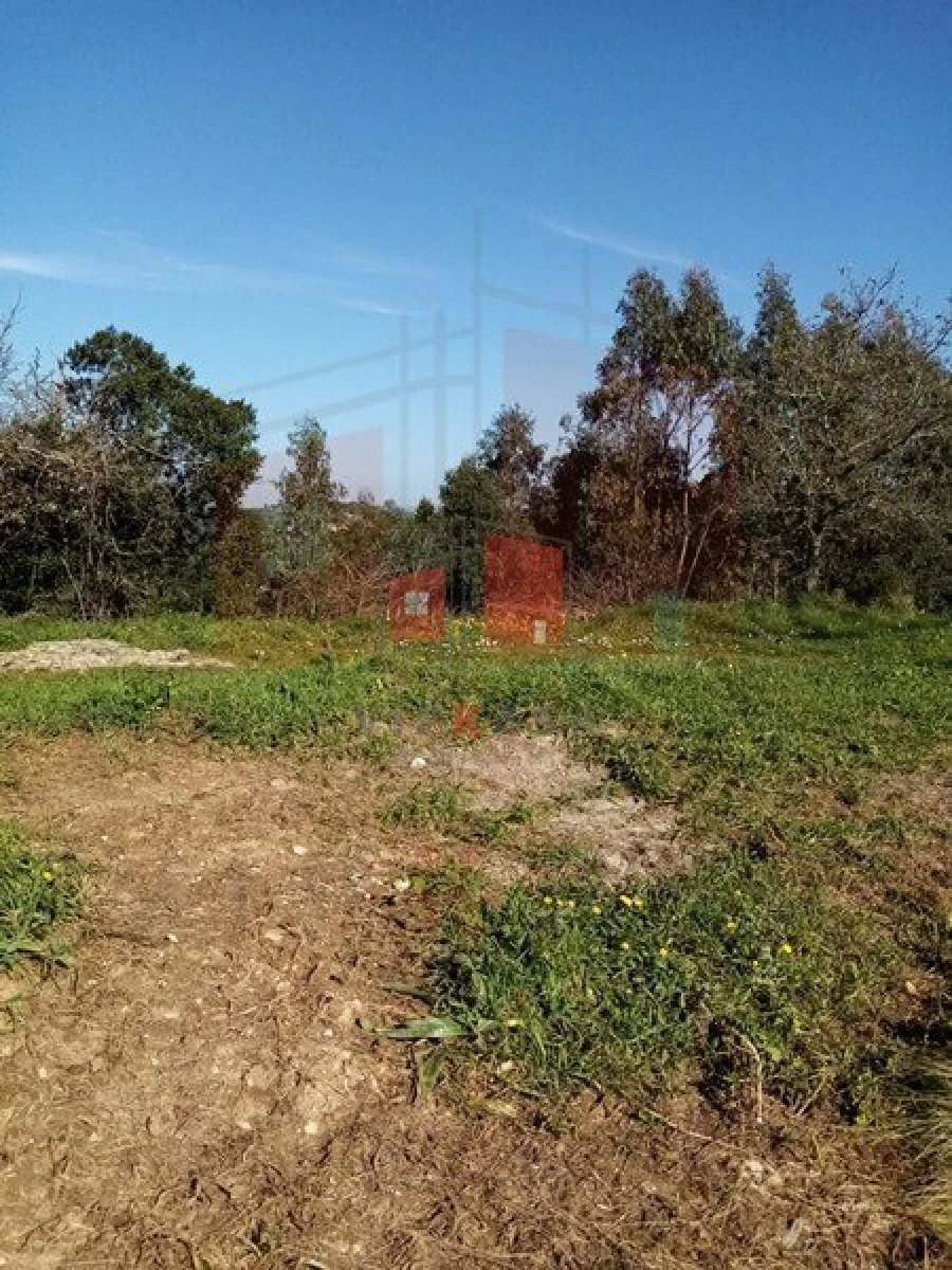 Terreno para Venda em Lousa Foto 3