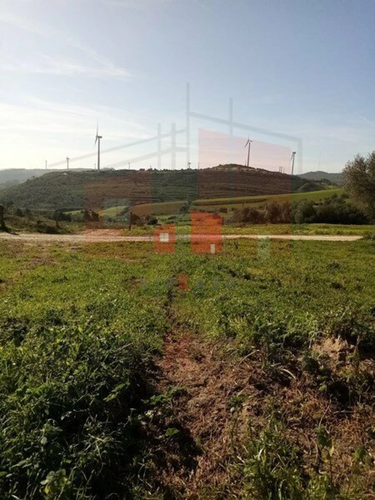 Terreno para Venda em Lousa Foto 8