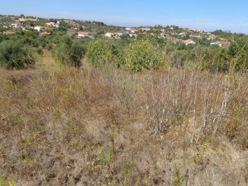 Terreno para Venda em São João Baptista e Santa Maria dos Olivais